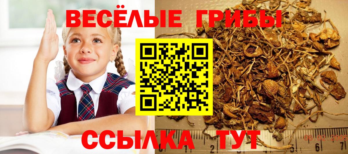 Псилоцибиновые грибы прущие грибы Красногорск