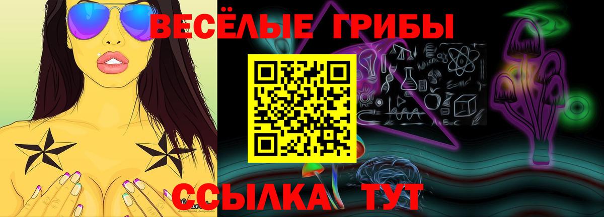 Красногорск  Псилоцибиновые грибы прущие грибы  Вход с VPN 